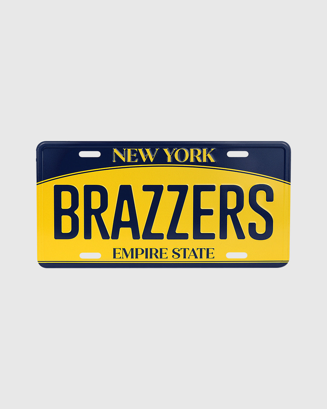 License Plate New York