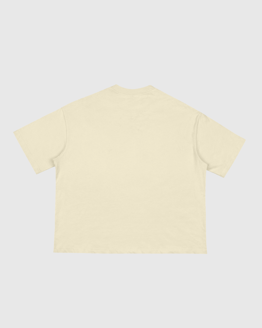 Loose Boxy Tee