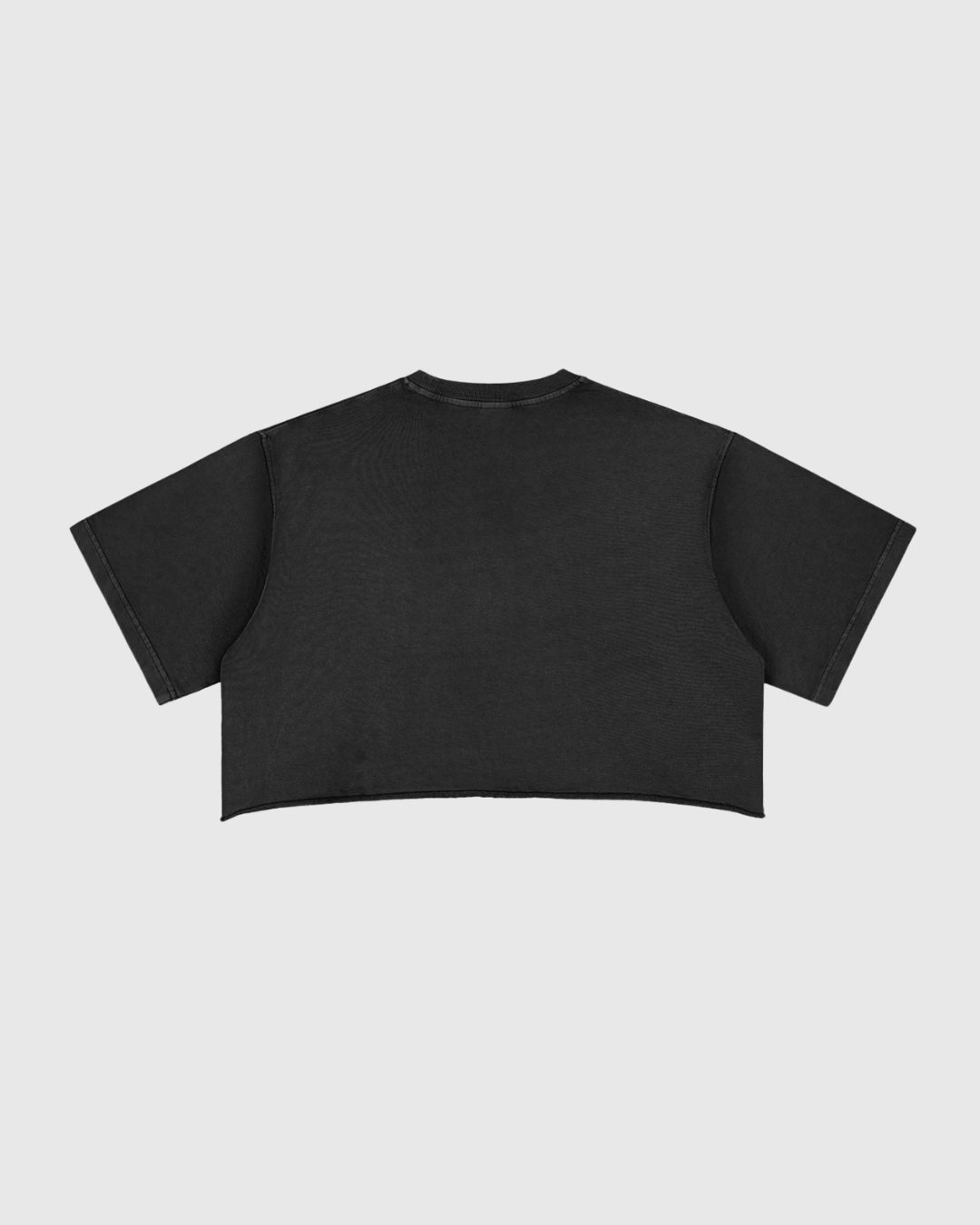 Women's Snow Washed Raw Edge Crop Tee