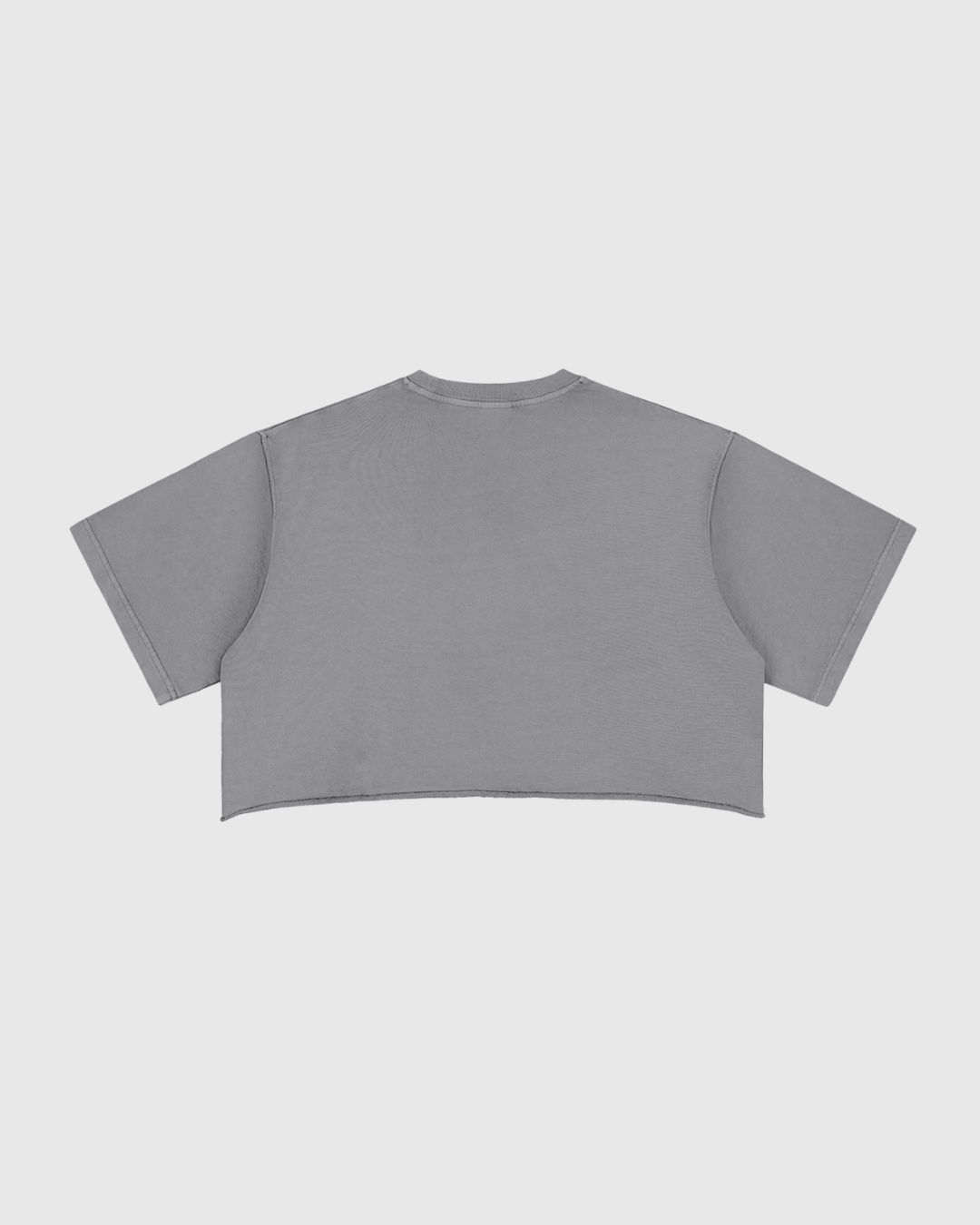 Women's Snow Washed Raw Edge Crop Tee