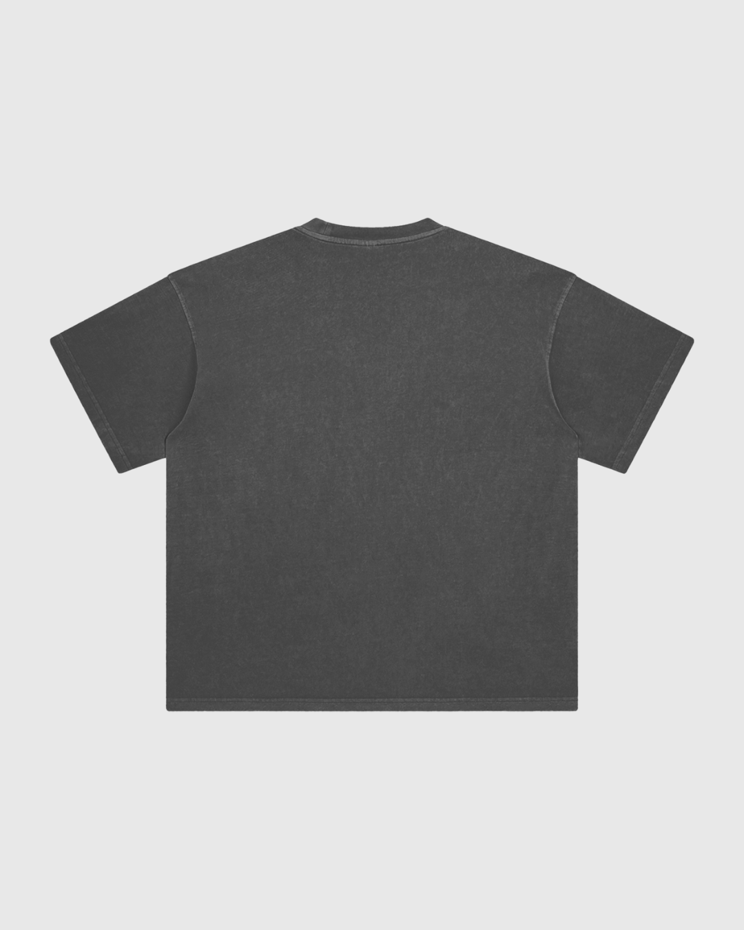 Enzyme Washed T-Shirt