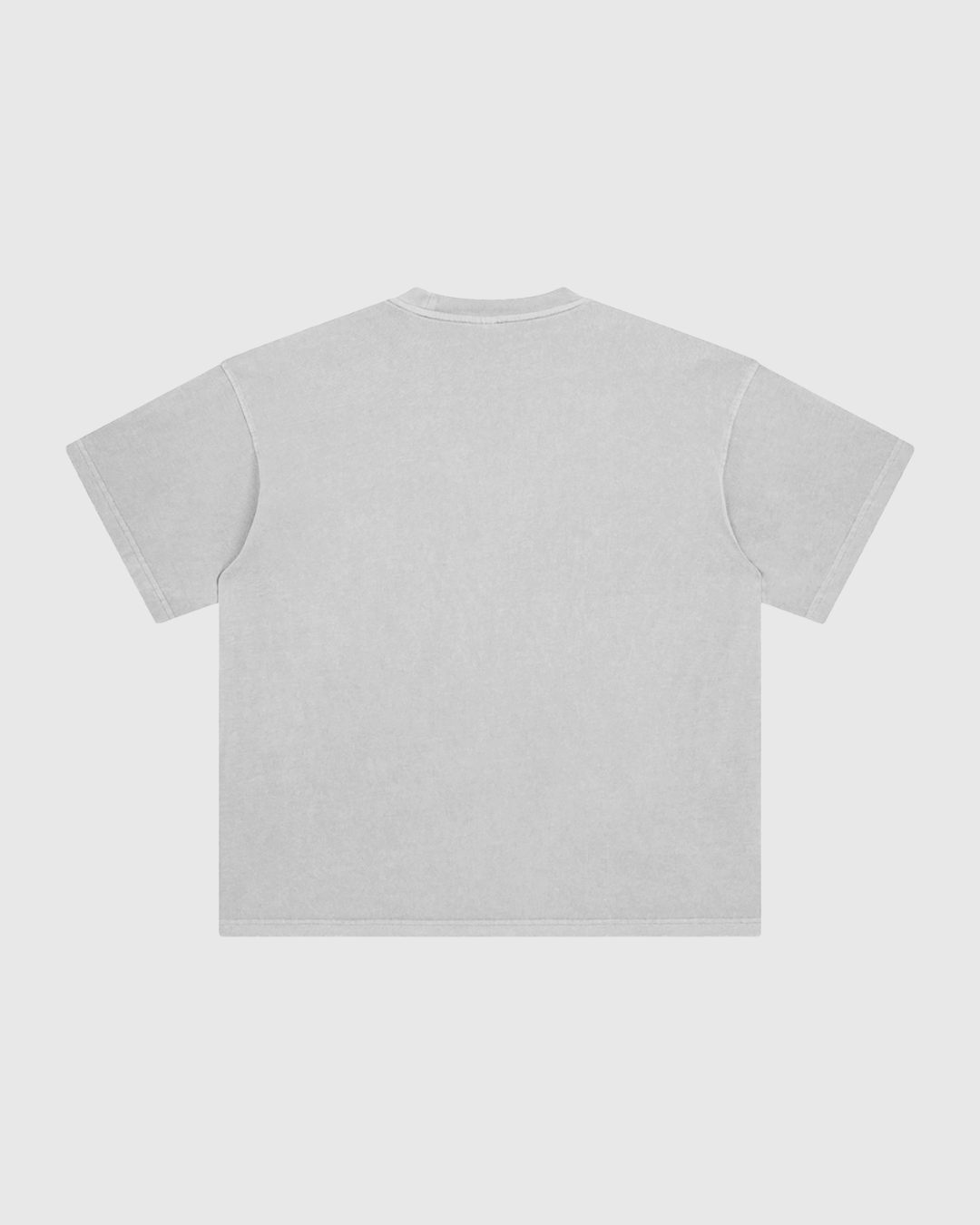 Enzyme Washed T-Shirt
